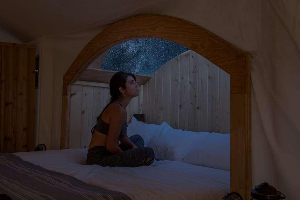 Under Canvas Zion Virgin Rum bild